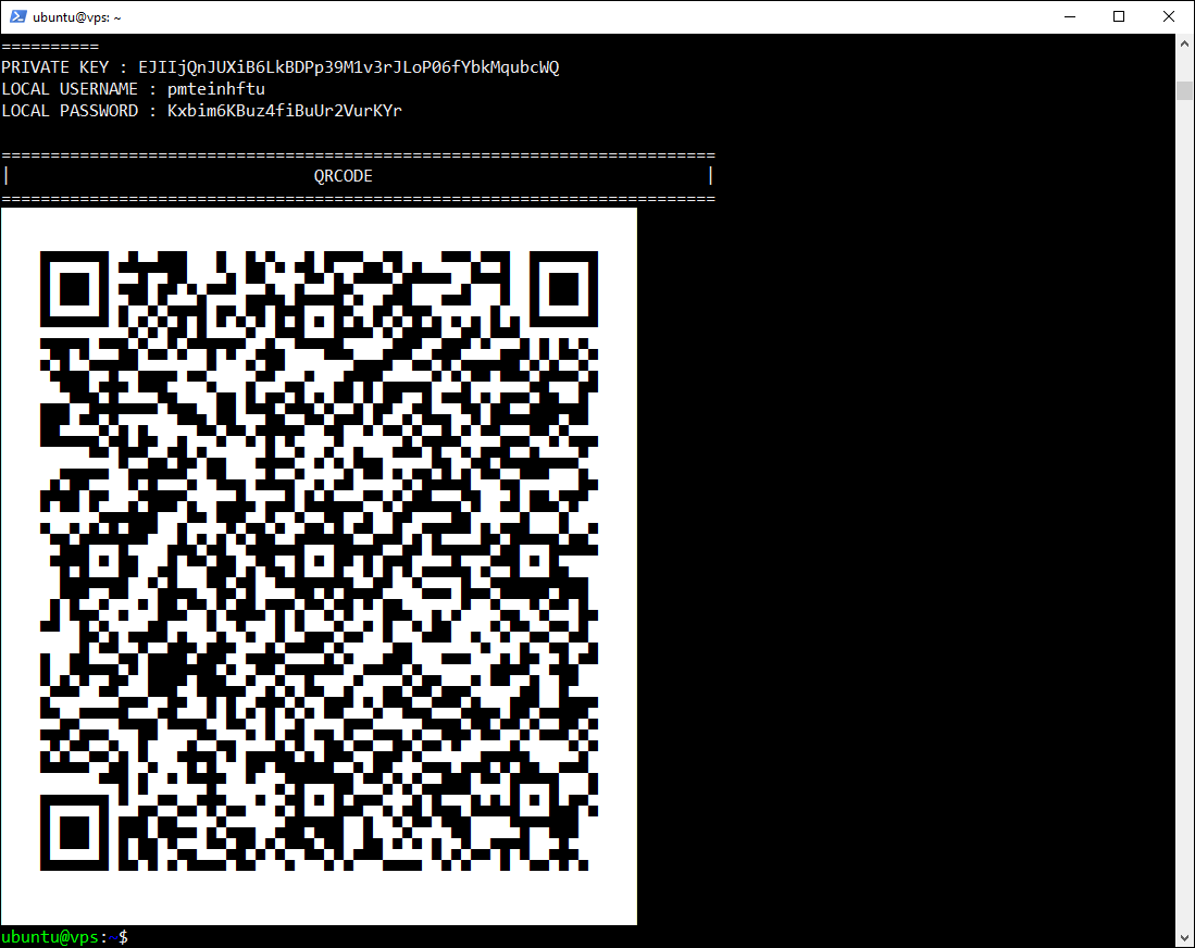 At the end of the run, the script displays a QR code